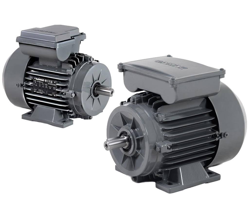 Single Phase Asynchronous Electric Motors Gamak